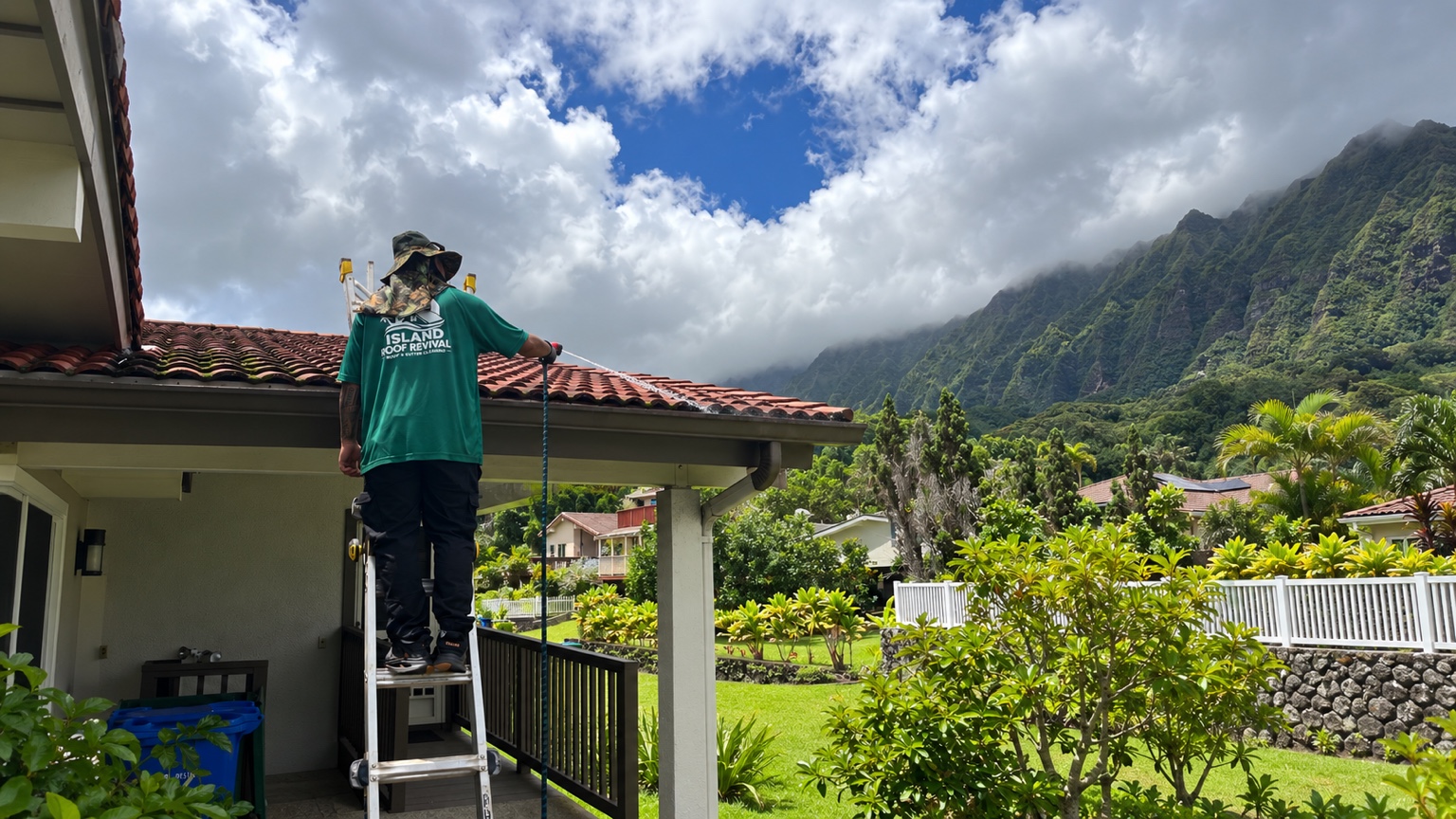 Moss removal roof care on Oahu